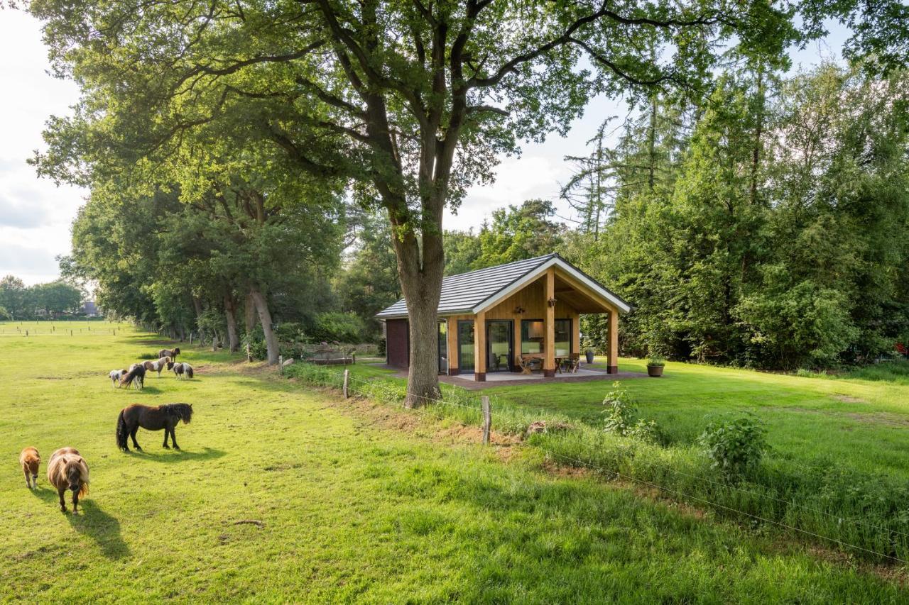 Bungalowpark Bij De Bronnen Nutter Ngoại thất bức ảnh